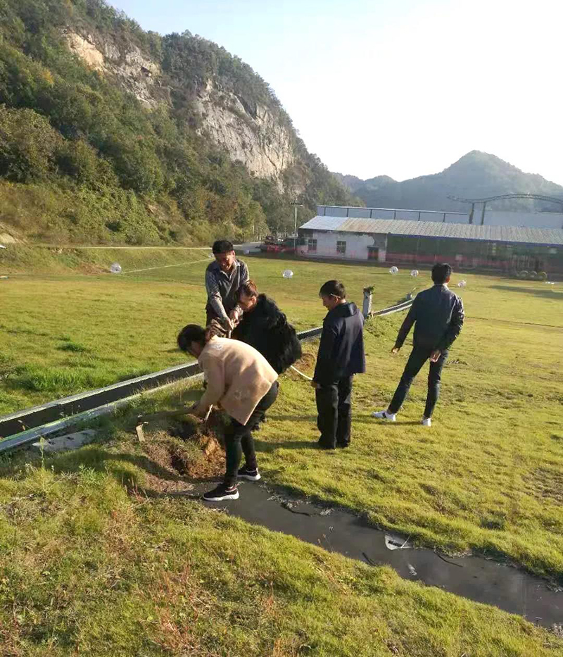 &#20048;&#25237;&#22312;&#32447;&#45;&#20048;&#25237;&#22312;&#32447;&#40;&#20013;&#22269;&#41;