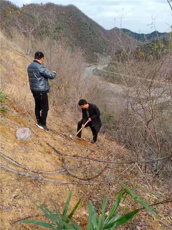&#20048;&#25237;&#22312;&#32447;&#45;&#20048;&#25237;&#22312;&#32447;&#40;&#20013;&#22269;&#41;