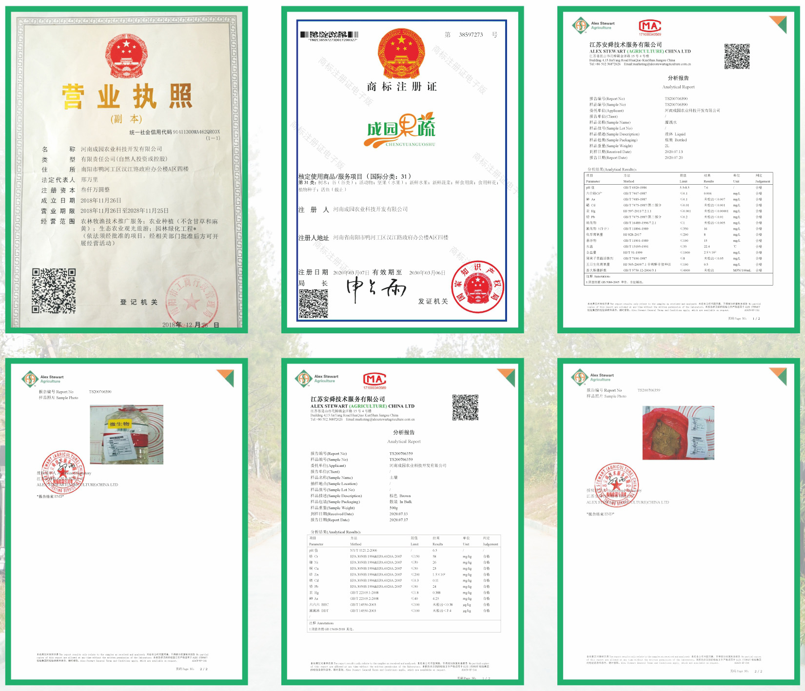 &#20048;&#25237;&#22312;&#32447;&#45;&#20048;&#25237;&#22312;&#32447;&#40;&#20013;&#22269;&#41;